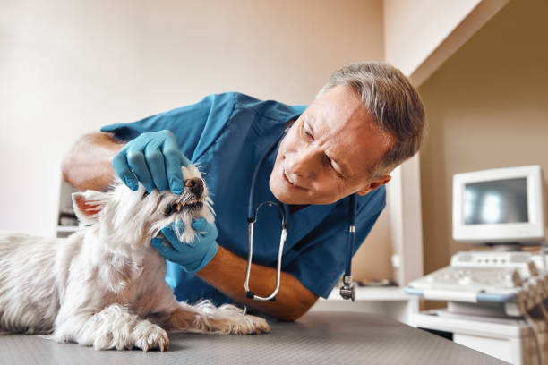 Best Emergency Tooth Extraction in Waterford, CA